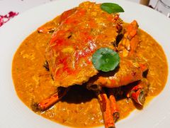 -狮拾久·现代新加坡料理(福田COCO Park店)