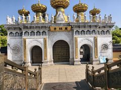 -枫泾丁氏烧卖(枫丽路店)