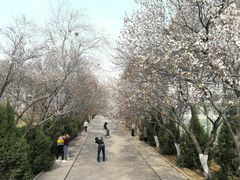 -山东师范大学(千佛山校区)