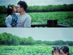 -荷塘月色湿地公园·向阳花洲