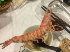 -鲜入围煮花胶鸡海鲜火锅