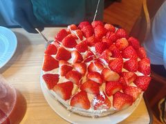 -O'eat Blossom&Pelican(深圳首店)