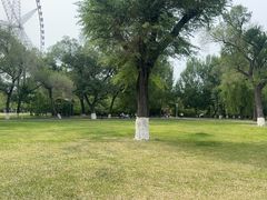 -哈尔滨极乐寺