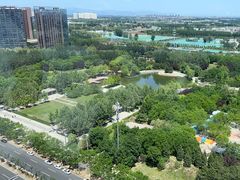 -大望京公园