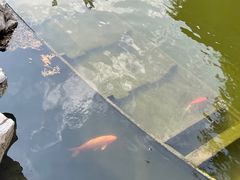 -孔氏南宗家庙
