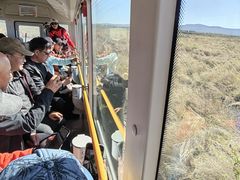 -黑瞎子岛探秘野熊园