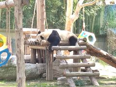 -上海野生动物园