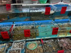 -洲晓鲜·舟山海鲜大排档(朱家尖风景区店)