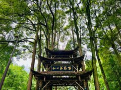 -青城山