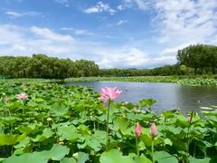 -东郊湿地公园