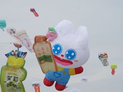 -潍坊滨海云门国际风筝放飞场