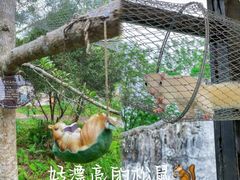 -梅州天地人花园酒店(梅县人民广场店)