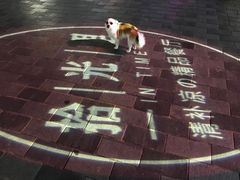 -拾光里·清补凉(骑楼老街店)