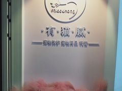 -喵宠乐园·撸猫互动·猫舍