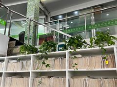 -爱侣宠医·鹦鹉专科·小型哺乳类·异宠专科(灵石路店)