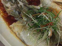 -东方御宴海鲜酒楼(棕泉酒店)