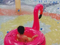 -南宫温泉水世界