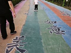 -特克斯八卦城