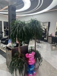 -ON STAR SALON
