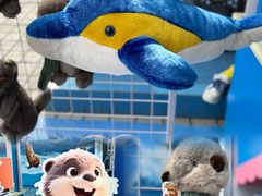 -太平洋海底世界