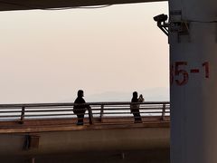 -演武大桥观景平台