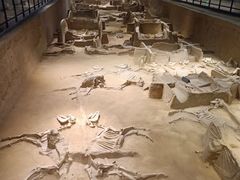 -洛阳周王城天子驾六博物馆