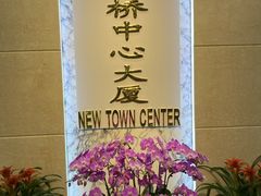 -新虹桥中心大厦