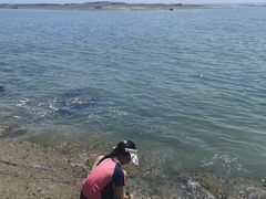 -日照灯塔风景区