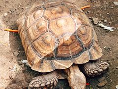 -水上乐园·欢乐世界