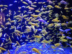 -成都浩海立方海洋公园