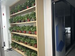 -新东方斯芬克艺术留学作品集培训(郑州校区)