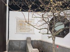 -上海醉白池公园