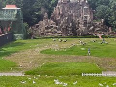 -哈尔滨北方森林动物园