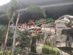 -南宫五洲植物乐园