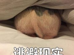 -星巴克(扬州珍园店)