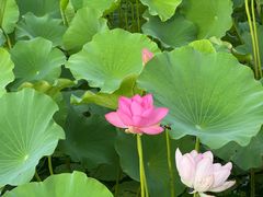 -马家湾湿地公园