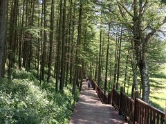 -驼梁风景区