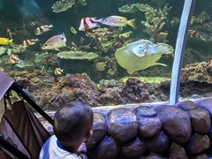 -华夏文旅西安度假区