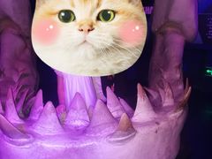 -皇家极地海洋世界-售票处