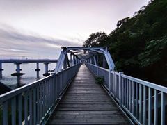 -星海湾跨海大桥