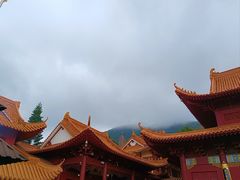 -深圳仙湖植物园