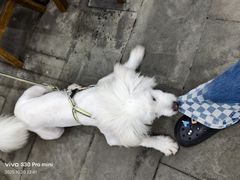 -慕儿姜鸭面江湖菜(七星岗二十年店)