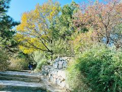 -鹫峰国家森林公园