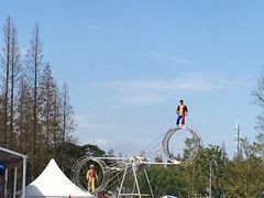 -上海长兴岛郊野公园