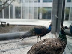 -无锡新湖铂尔曼大酒店