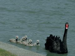 -东华大学(松江校区)