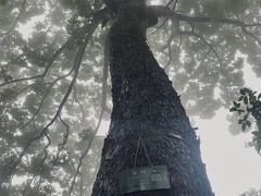 -道教老君洞