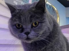-极木²邸 人与宠物·互动社区