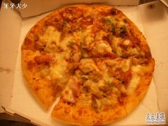 培根+鱼PIZZA-达美乐比萨(武定店)