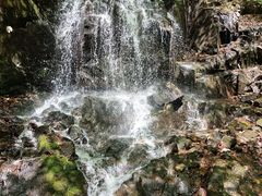 -本溪汤沟绿石谷森林公园